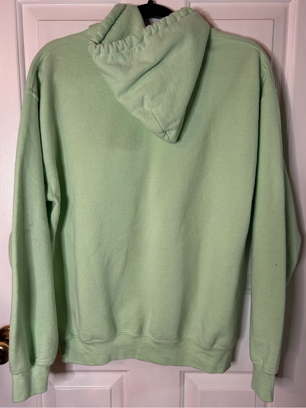 HAZEL Butterfly Embroidered Hoodie- Pistachio Green/ Size Medium - Picture 3 of 4